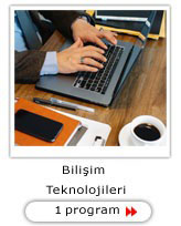 Bilişim Teknolojileri